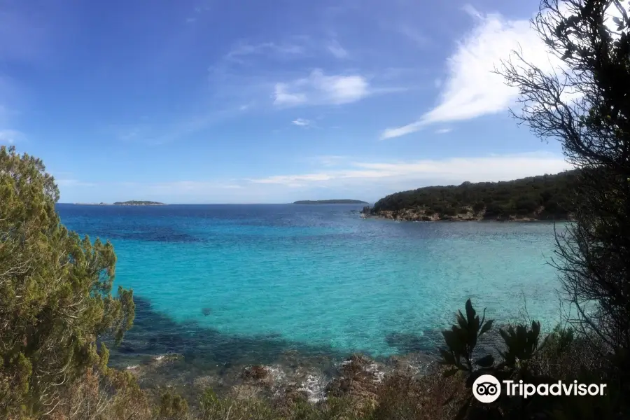 Plage de Carataggio