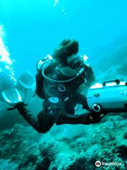 Pisces Diving Charter