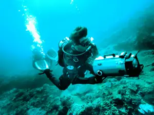 Pisces Diving Charter