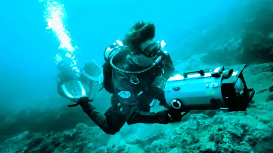 Pisces Diving Charter