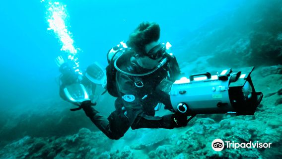 Pisces Diving Charter