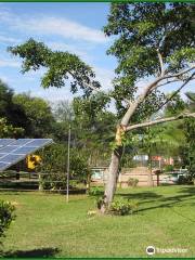 Parque Ambiental dos Sabiás