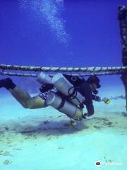 Isla Tortuga Divers