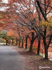 タカドヤ湿地