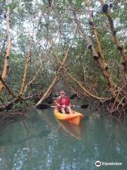 Florida Keys Kayak and Paddleboard