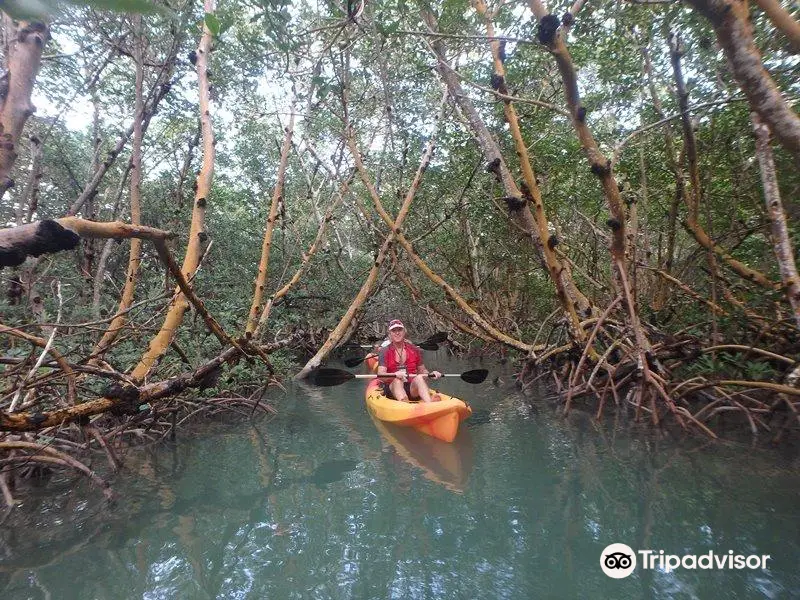Florida Keys Kayak and Paddleboard