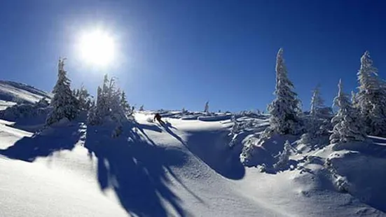 Ski Resort Dragobrat