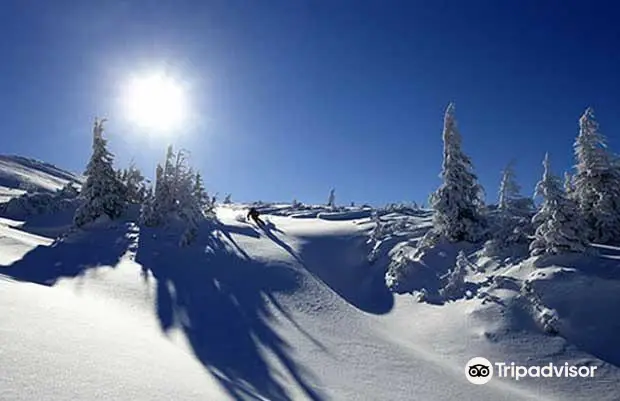 Ski Resort Dragobrat