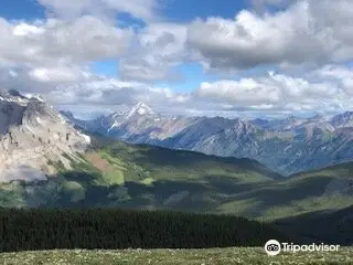 Martha's Heli-Hikes