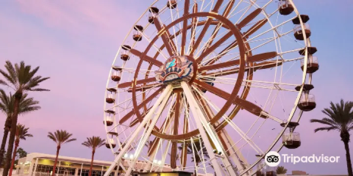 Wharf Ferris Wheel
