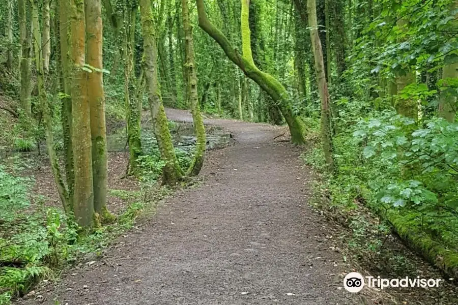 Fairy Glen