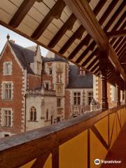 Le Chateau du Clos Luce - Parc Leonardo da Vinci