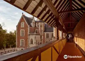 Le Chateau du Clos Luce - Parc Leonardo da Vinci