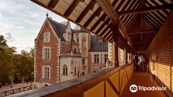 Le Chateau du Clos Luce - Parc Leonardo da Vinci