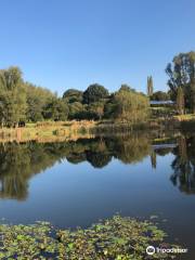 Nirox Sculpture Park