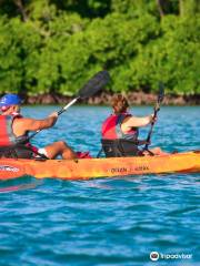 Sea Kayak Adventures