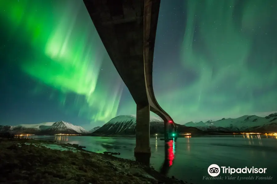 Northern Lights Hunt Lofoten