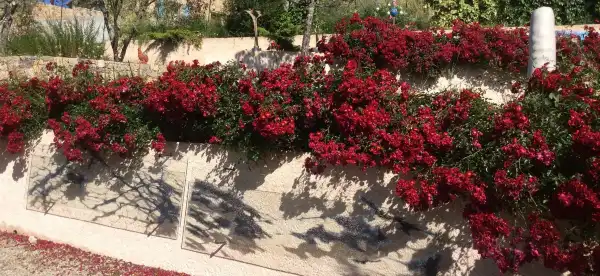 Hotels in Fayence