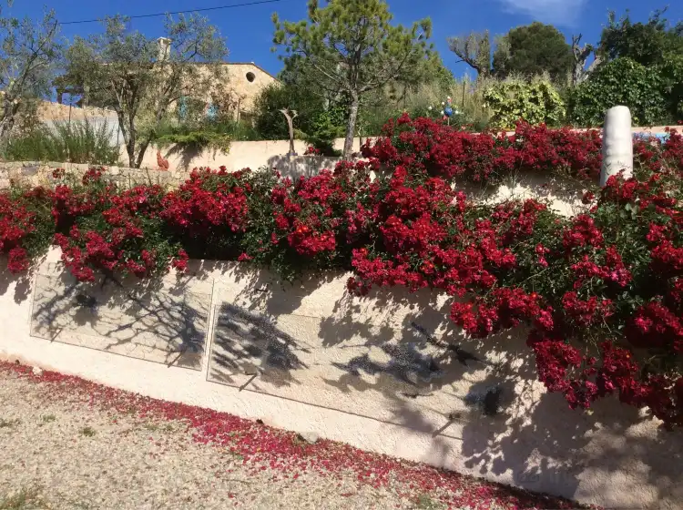 Fayence