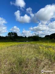 West Lake Preserve