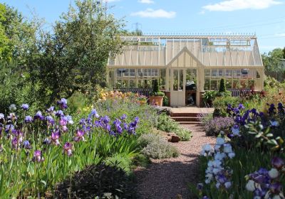 Ashwood Nurseries and John's Garden