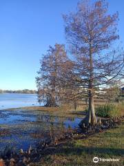 University Lake