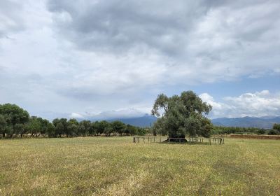 Oasi Naturalistica di S’Ortu Mannu