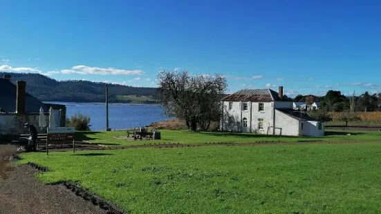 Derwent Estate Vineyard