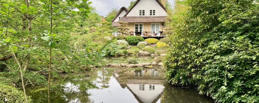 The Japanese Gardens