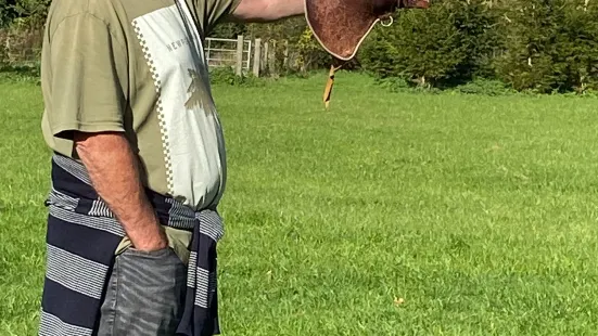 West Sussex Falconry