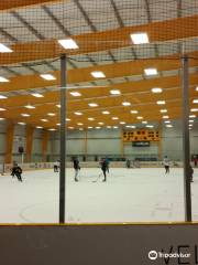 Ford Ice Center