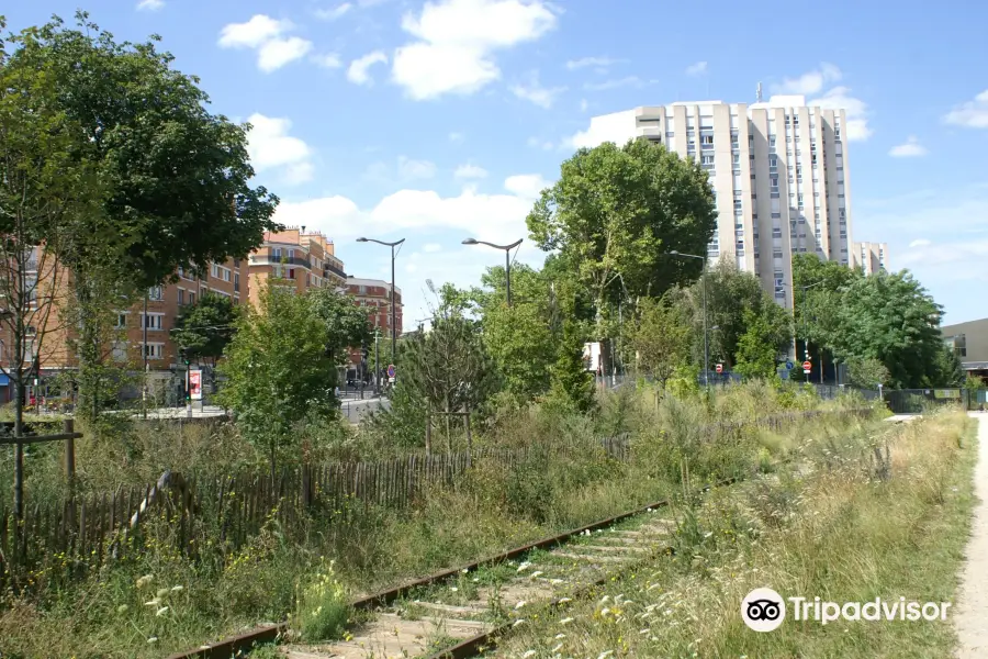 Petite Ceinture du 13ème