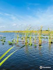 Eagle Bay Airboat Rides