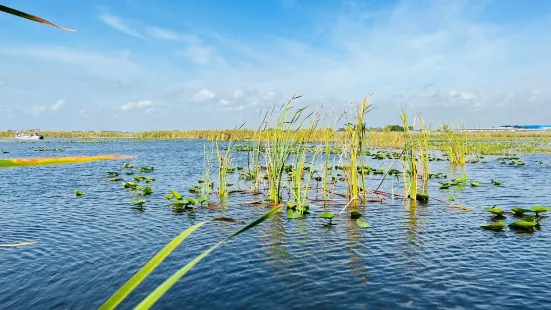 Eagle Bay Airboat Rides