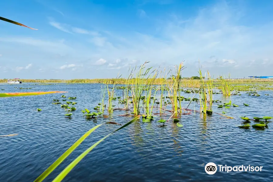 Eagle Bay Airboat Rides