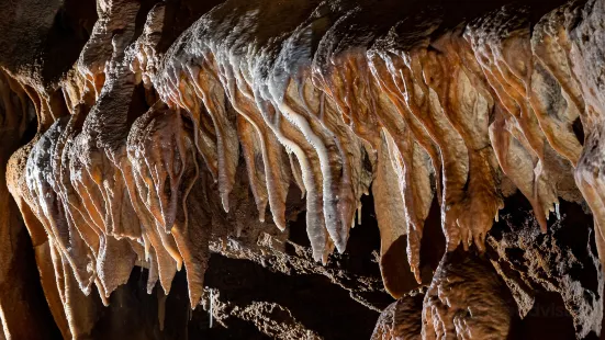 Grotte du Bosc