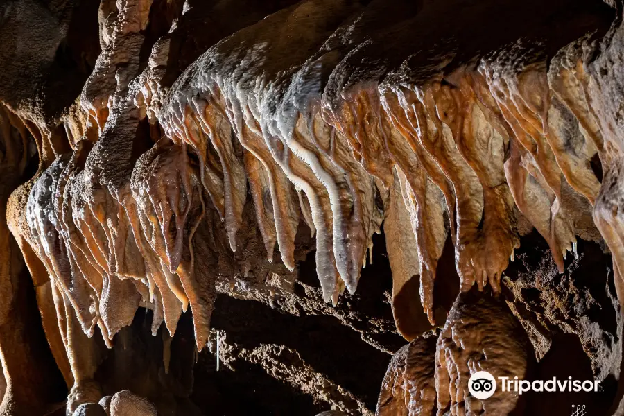 Grotte du Bosc