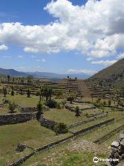 Zona Arqueológica de Cantona