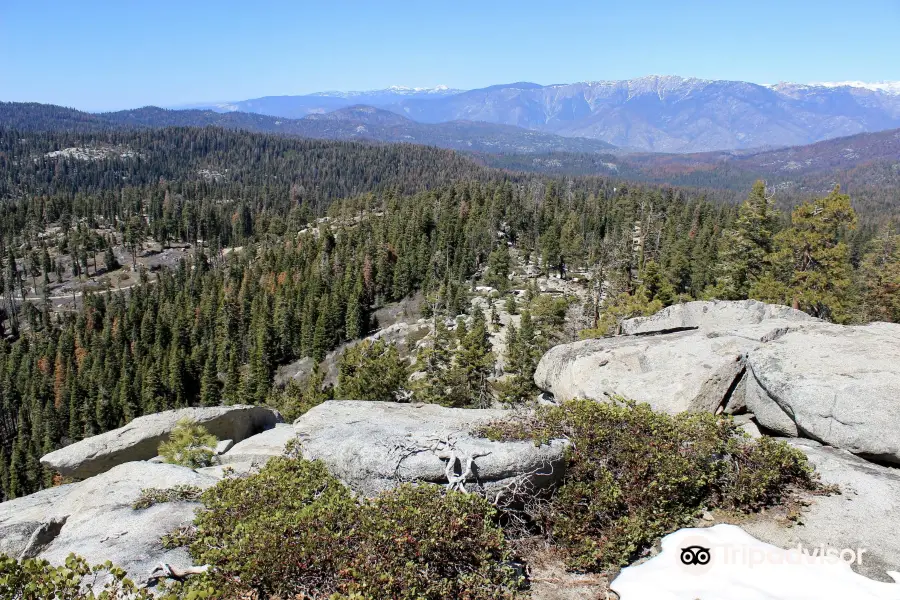 Buena Vista Peak Trailhead