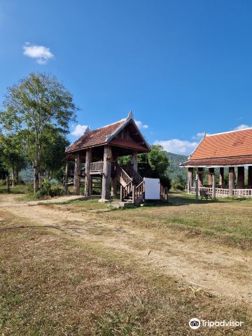 Luang Prabang Elephants camp