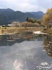 Myojin Pond Meisui Park