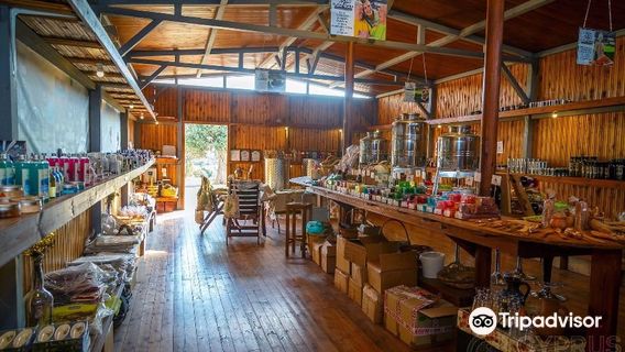 Terra Oliva Organic Olive Farm