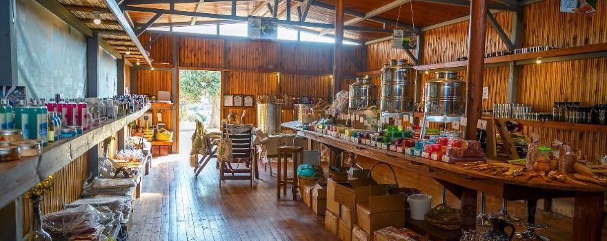 Terra Oliva Organic Olive Farm