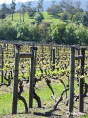 Iron Pot Bay Vineyard