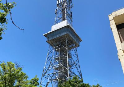 Communications Tower