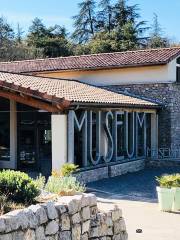 Muséum de l'Ardèche - Fossiles et dinosaures - Musée et activités