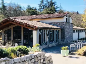 Muséum de l'Ardèche - Fossiles et dinosaures - Musée et activités