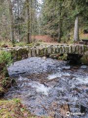 Saut des Cuves