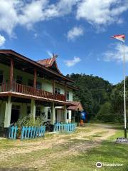 Bukit Tigapuluh National Park