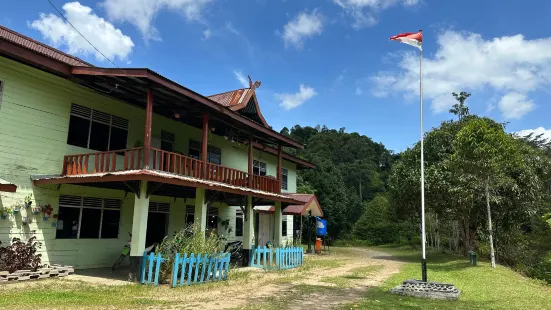 Bukit Tigapuluh National Park